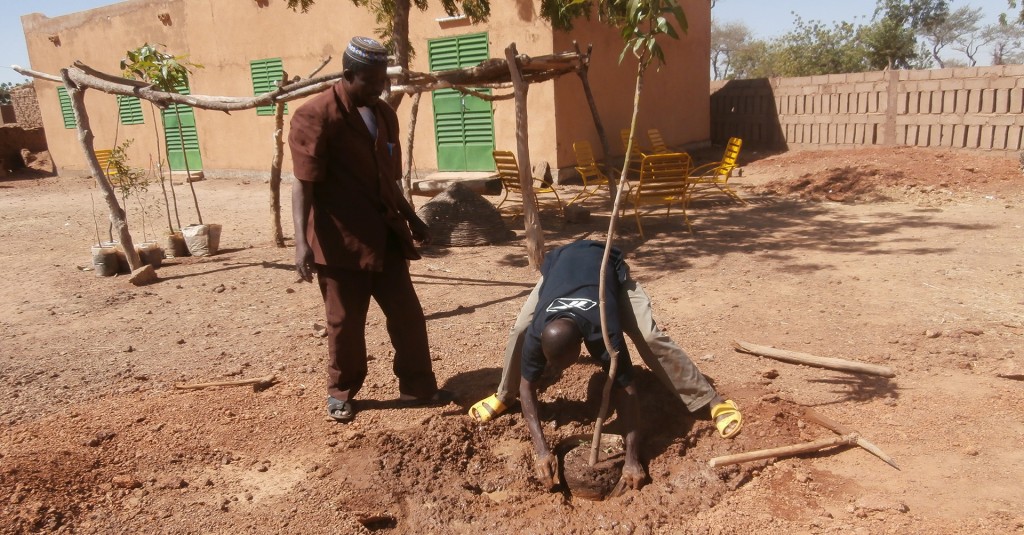 Burkina-Faso-2014-manguier